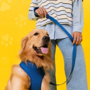 Guia Pet Para Cachorro GoPets Clear