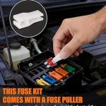 Kit 300 Fusíveis Automotivos Tipo Lâmina Micro, Mini e Padrão, 2A a 40A, com Extrator e Caixa Organizadora, Universal para Carro, Caminhão e Veículos