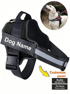 Peitoral Personalizado para Cachorro Sem Puxão