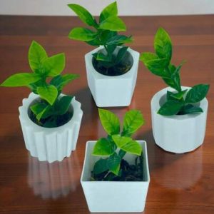 Conjunto de 4 Arranjos Artificiais com Musgo Natural Desidratado – Beleza Natural Sem Manutenção