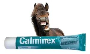Pomada Calminex 100g Dores E Pancadas – Msd