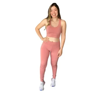 Conjunto Fit Fitness Feminino Roupa De Academia Estilosa – Rose – JinkingStore Moda Fitness